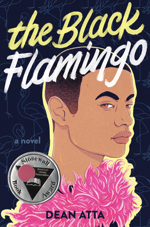 Cover image for book The Black Flamingo