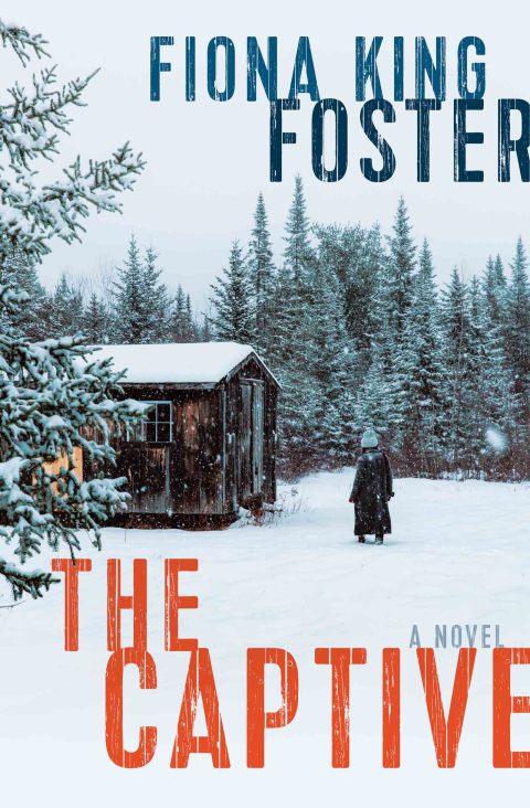 Cover image for book The Captive
