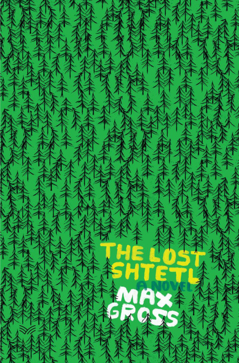 Cover image for book The Lost Shtetl