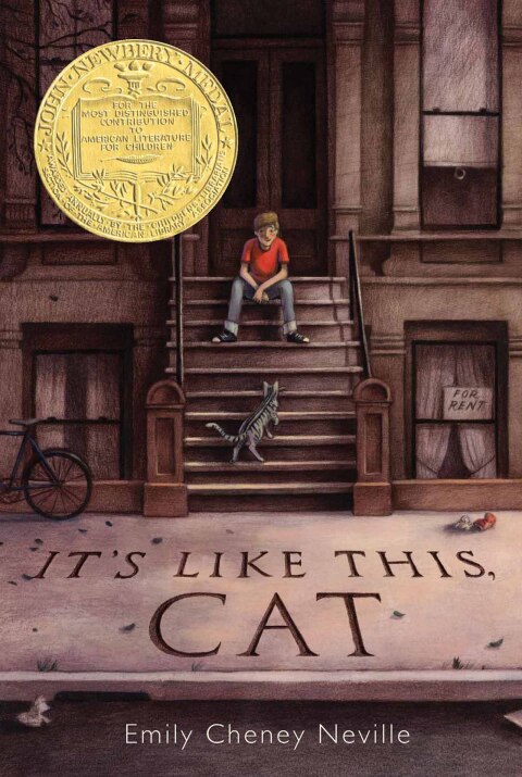 Cover image for book It's Like This, Cat