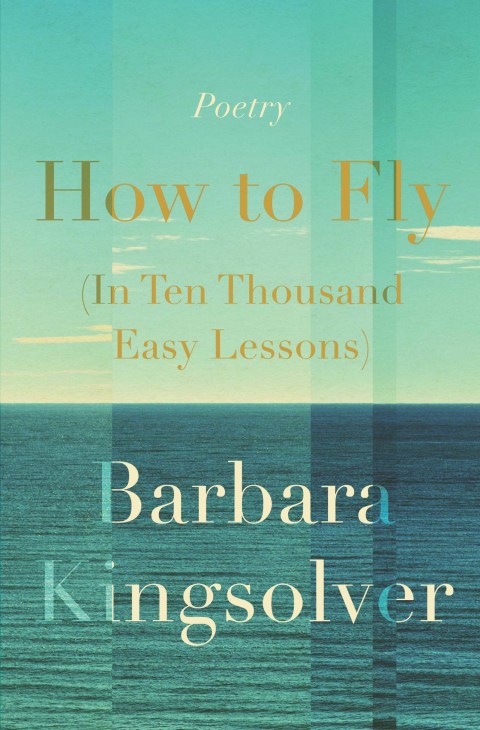 Cover image for book How to Fly (In Ten Thousand Easy Lessons)