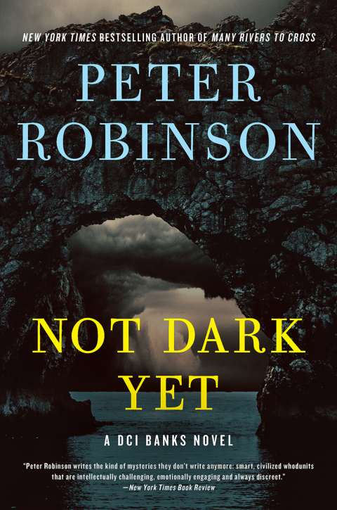 Cover image for book Not Dark Yet