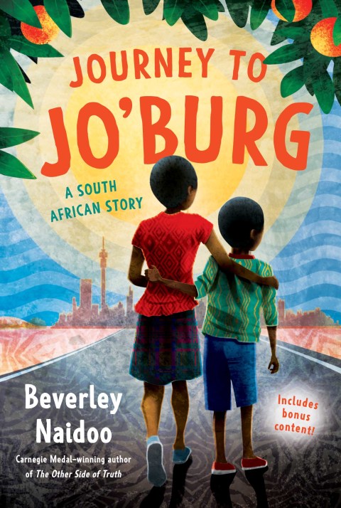 Cover image for book Journey to Jo'burg