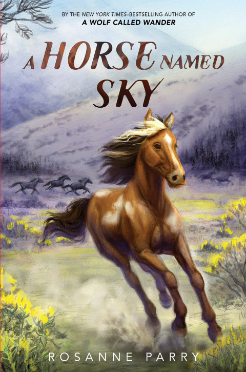 Cover image for book A Horse Named Sky