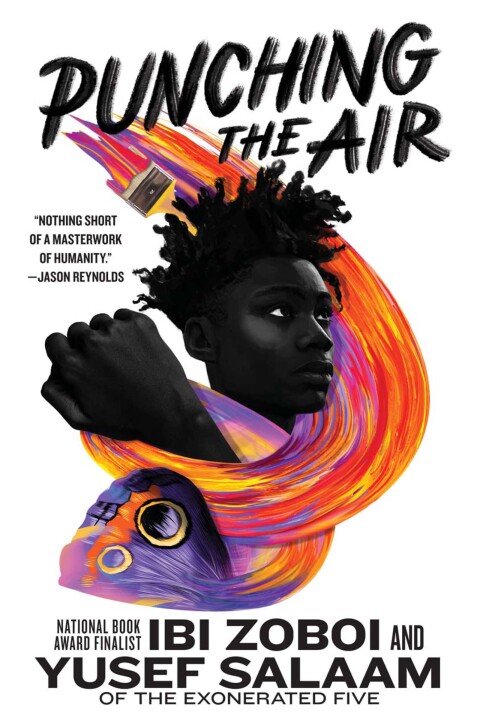 Cover image for book Punching the Air
