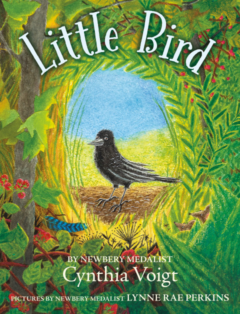 Cover image for book Little Bird