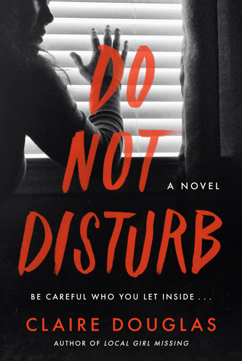 Cover image for book Do Not Disturb