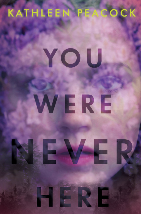 Cover image for book You Were Never Here