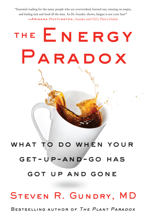 Cover image for book The Energy Paradox