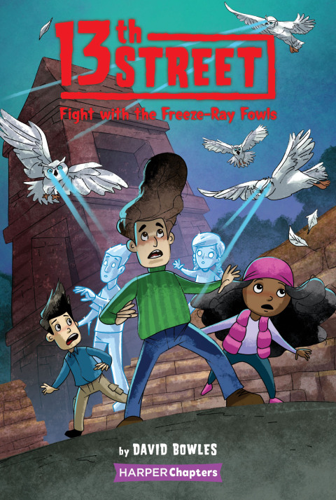 Cover image for book 13th Street #6: Fight with the Freeze-Ray Fowls