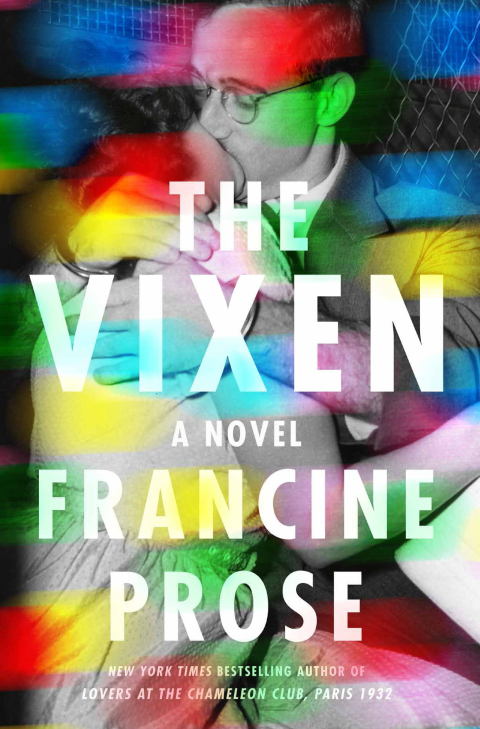 Cover image for book The Vixen