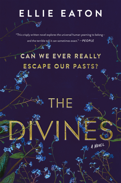 Cover image for book The Divines