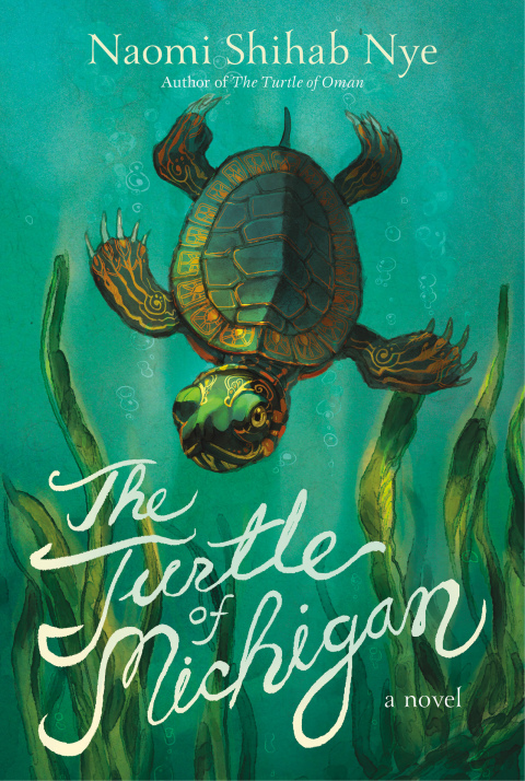 Cover image for book The Turtle of Michigan