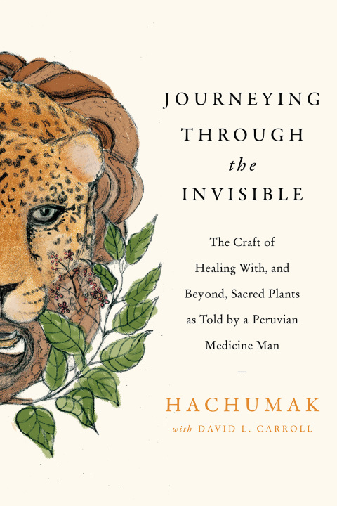 Cover image for book Journeying Through the Invisible