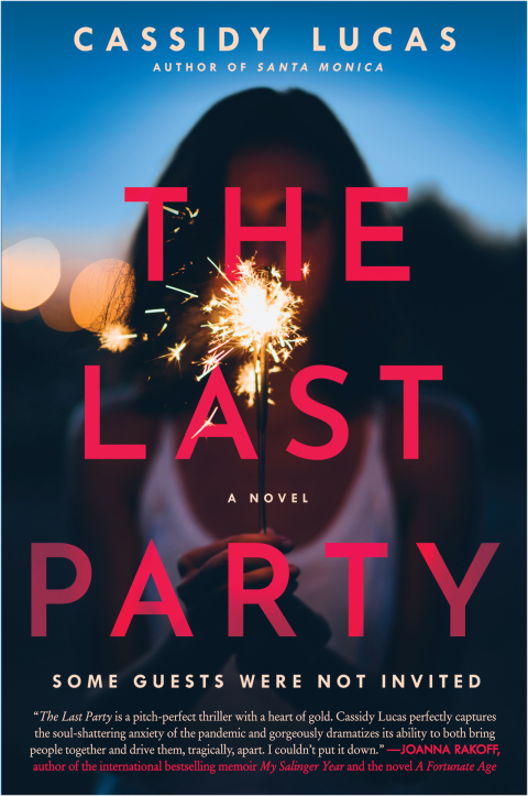 Cover image for book The Last Party