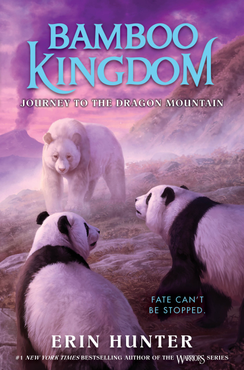 Cover image for book Bamboo Kingdom #3: Journey to the Dragon Mountain