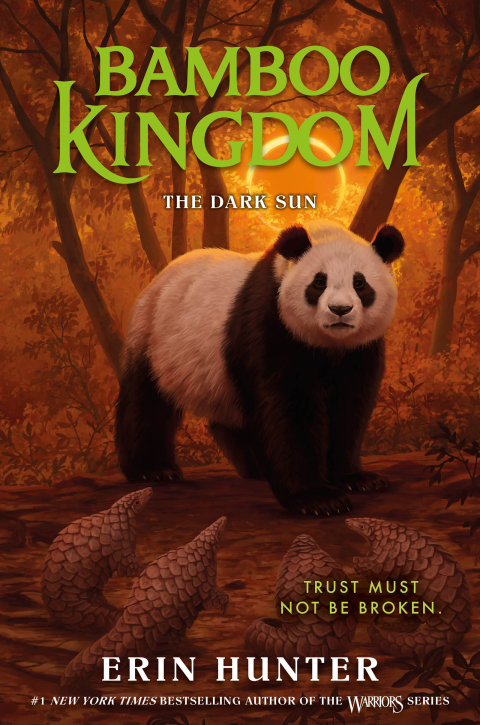 Cover image for book Bamboo Kingdom #4: The Dark Sun