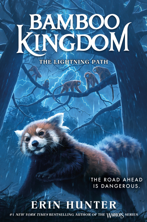 Cover image for book Bamboo Kingdom #5: The Lightning Path