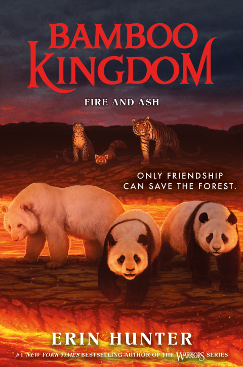 Cover image for book Bamboo Kingdom #6: Fire and Ash