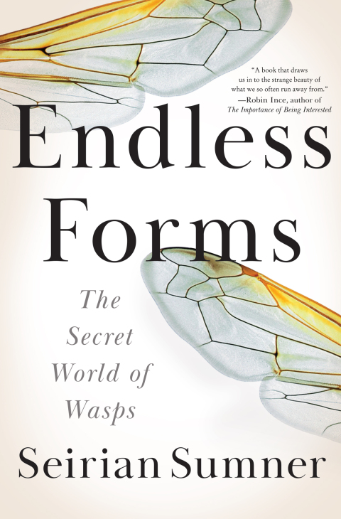 Cover image for book Endless Forms