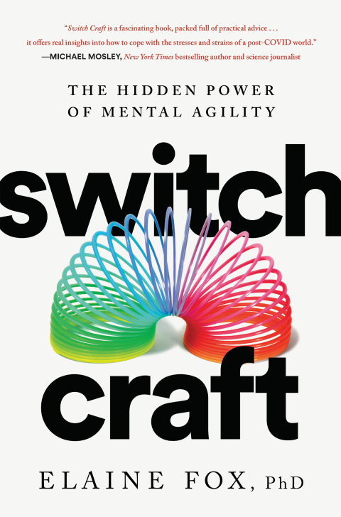 Cover image for book Switch Craft
