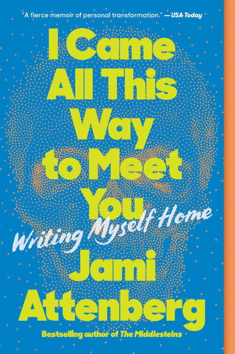 Cover image for book I Came All This Way to Meet You