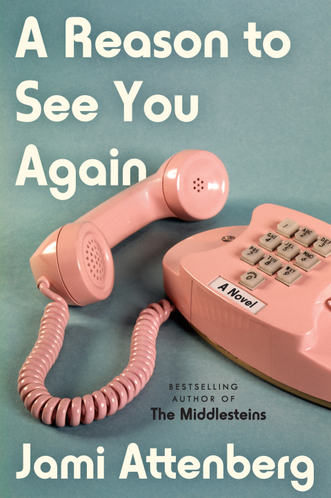 Cover image for book A Reason to See You Again