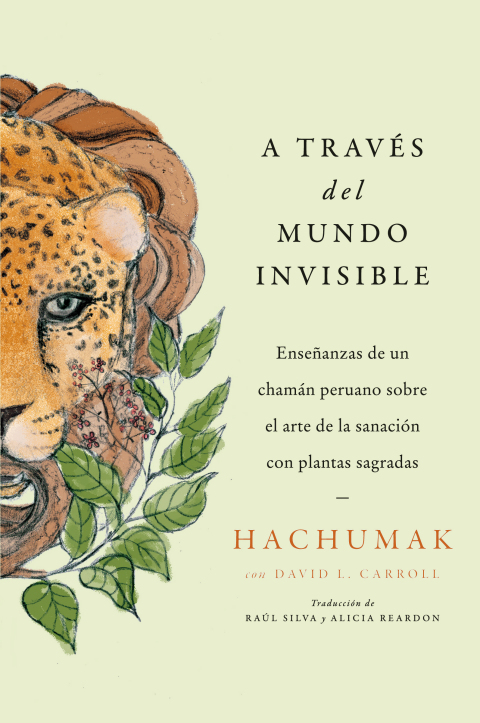 Cover image for book Journeying Through the Invisible \ A través del mundo invisible (Sp.)