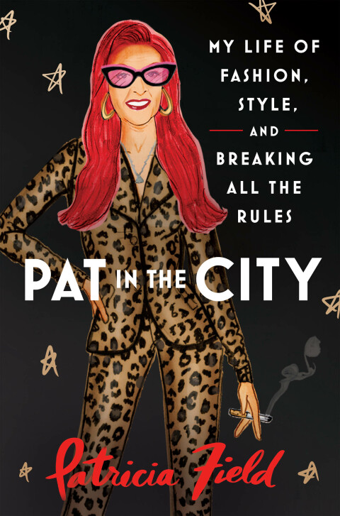 Cover image for book Pat in the City