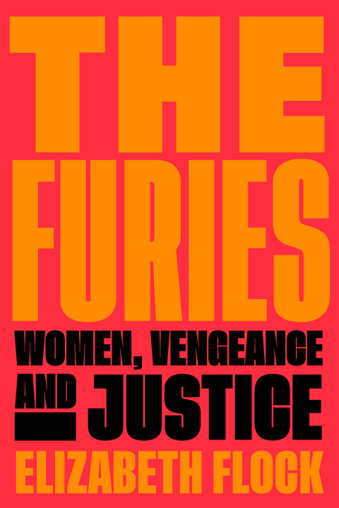 Cover image for book The Furies