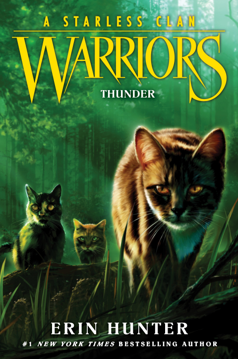 Cover image for book Warriors: A Starless Clan #4: Thunder