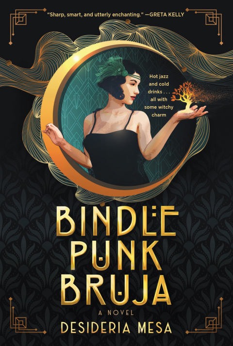 Cover image for book Bindle Punk Bruja