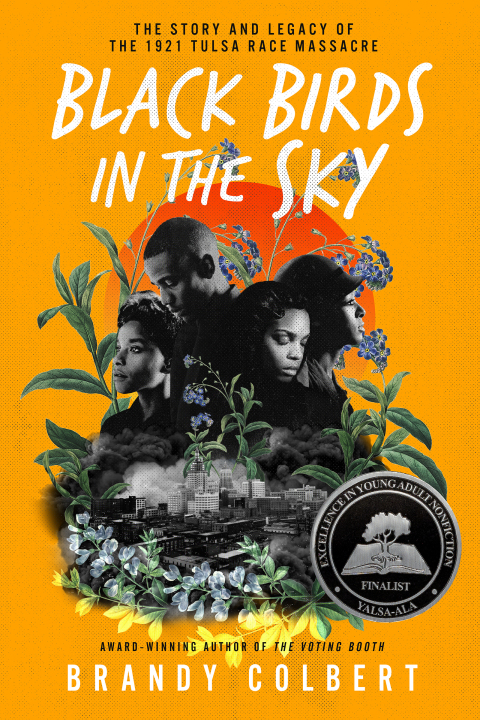 Cover image for book Black Birds in the Sky