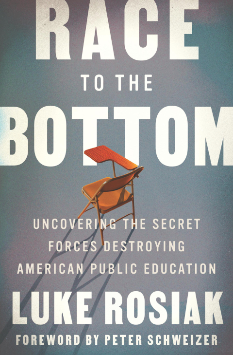 Cover image for book Race to the Bottom