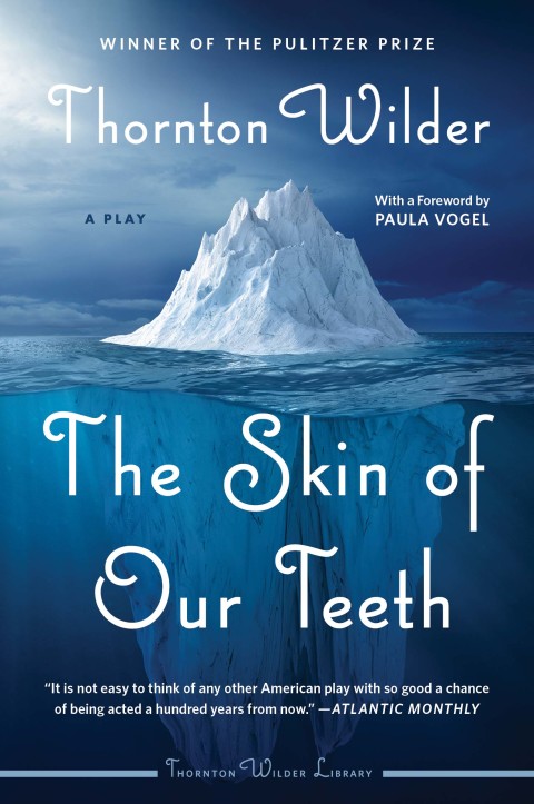 Cover image for book The Skin of Our Teeth