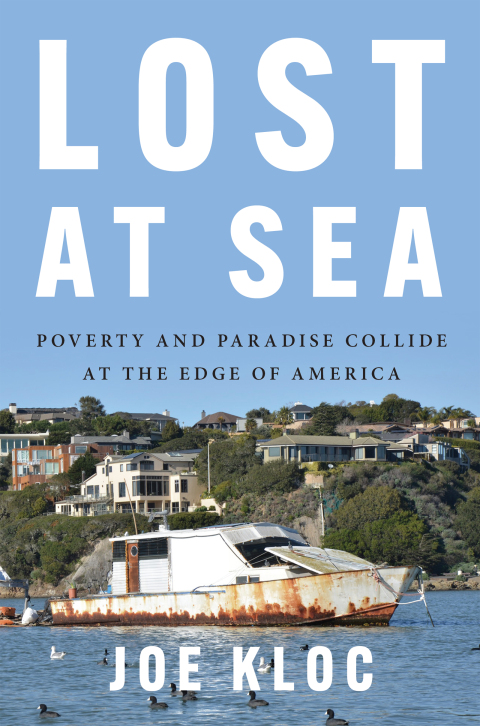 Cover image for book Lost at Sea
