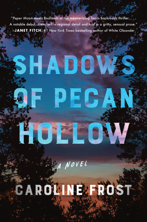 Cover image for book Shadows of Pecan Hollow