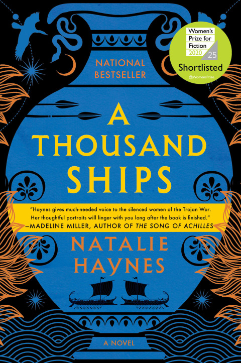 Cover image for book A Thousand Ships