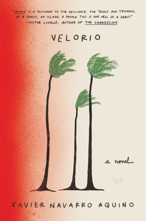 Cover image for book Velorio