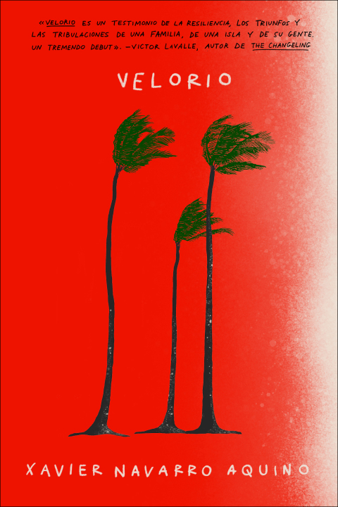 Cover image for book Velorio