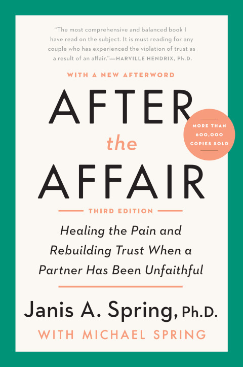Cover image for book After the Affair