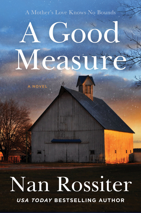Cover image for book A Good Measure
