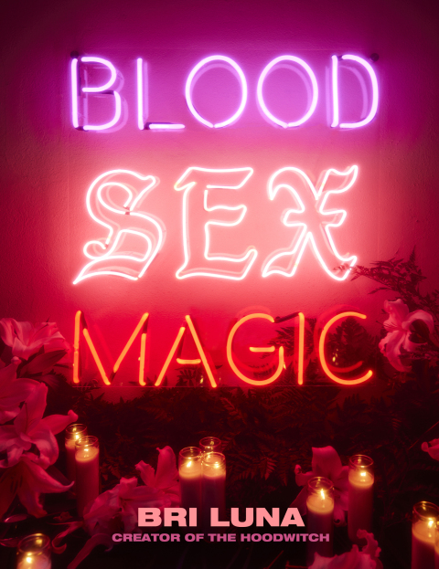 Cover image for book Blood Sex Magic