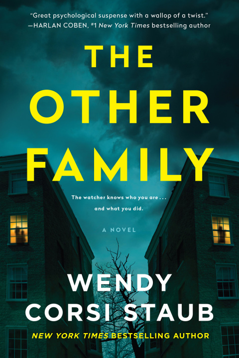 Cover image for book The Other Family