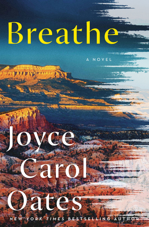 Cover image for book Breathe