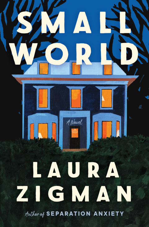 Cover image for book Small World