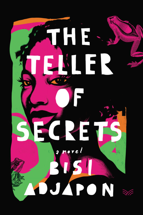 Cover image for book The Teller of Secrets