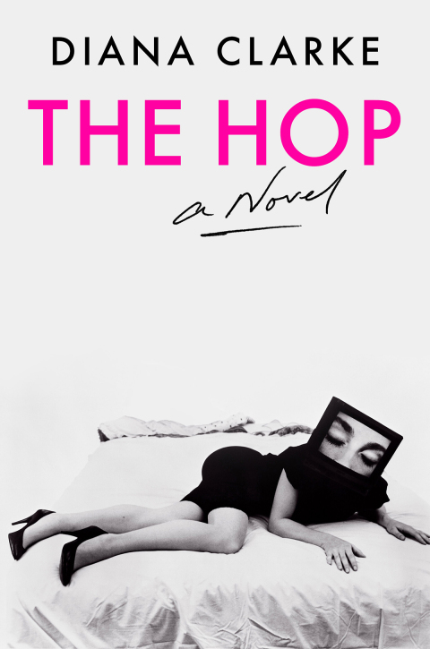 Cover image for book The Hop