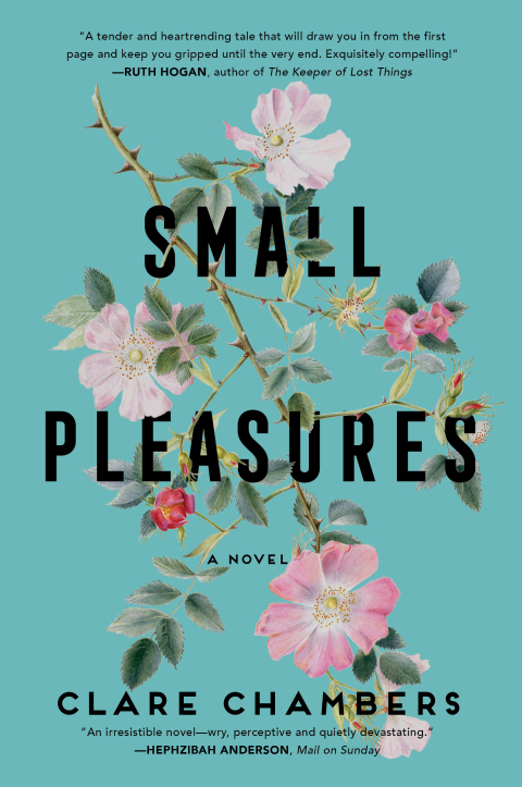 Cover image for book Small Pleasures