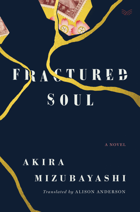 Cover image for book Fractured Soul